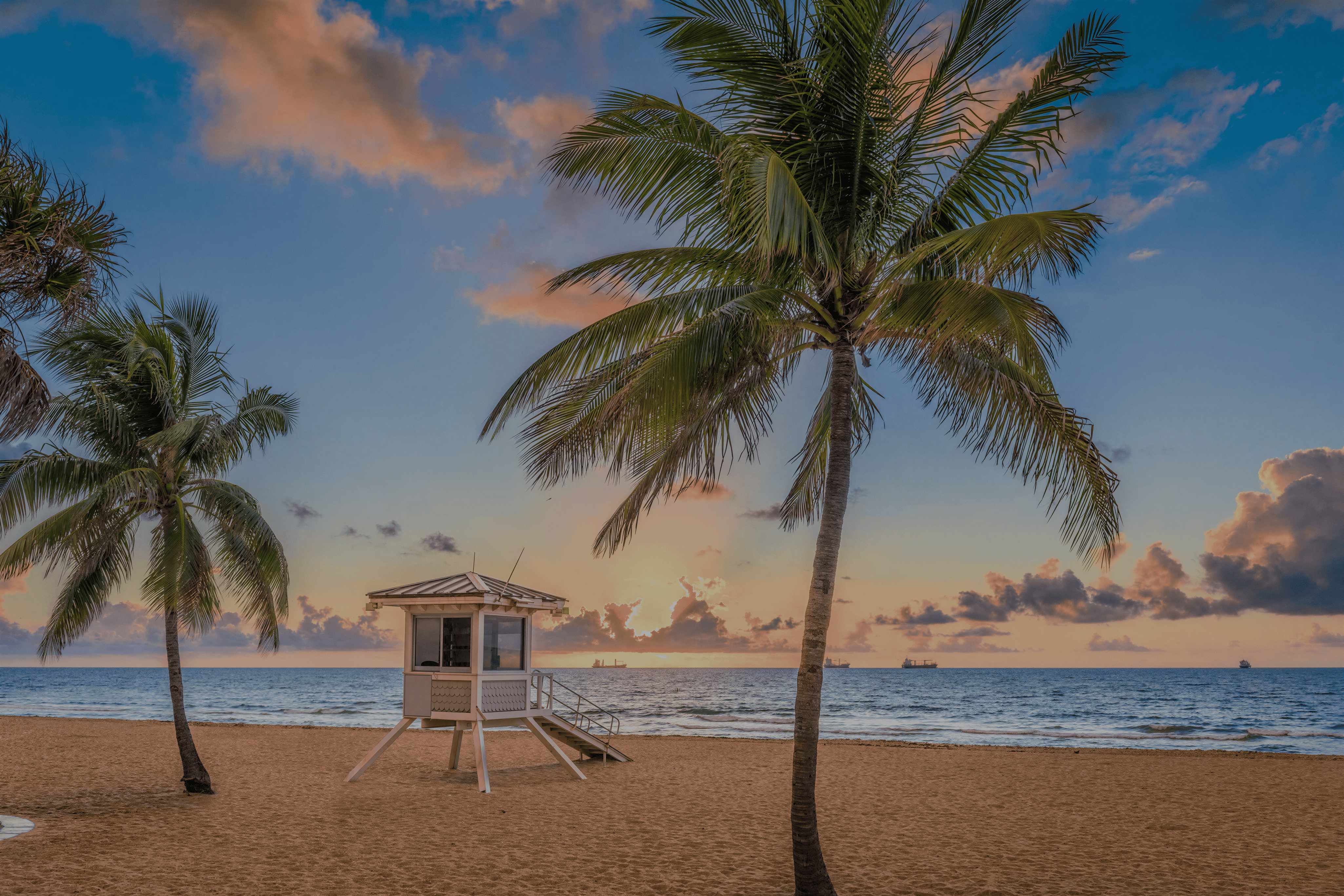 BEACH_FRONT_BACK-2.png