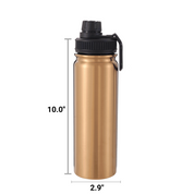 Metallic Flow Sports Bottle 24oz